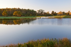 Shingle Creek Golf Club in Orlando, FL