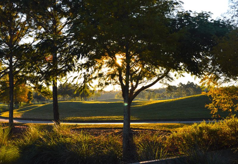 shingle creek golf course exterior